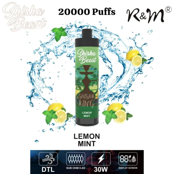 R&M Shisha Beast 20000 Puffs Disposable Vape
