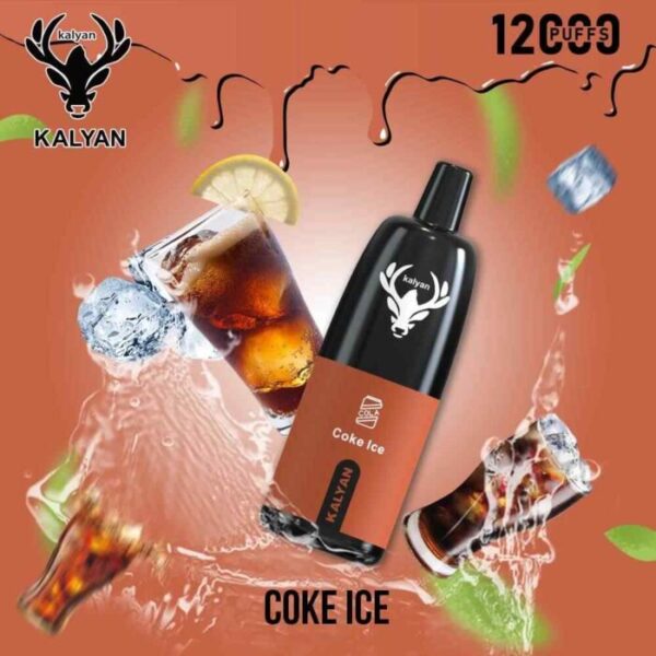 KALYAN Pro 12000 Puffs